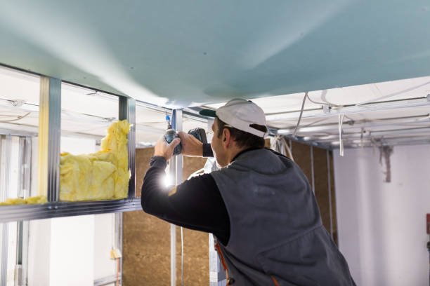 Best Eco-Friendly Insulation in Taylor, AL