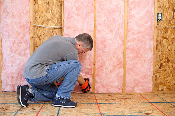 Types of Insulation We Offer in Taylor, AL