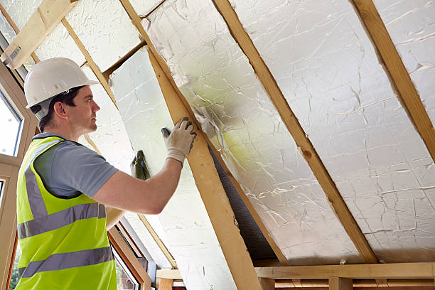 Best Geographic-Specific Insulation Services in Taylor, AL